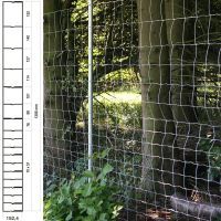 496152.jpg 496152.jpg