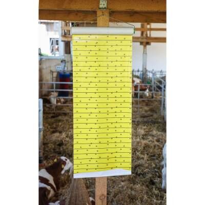 Bild 1 Stall-Fliegenrolle JumboXL mit Lockstoff 10 m x  40 cm