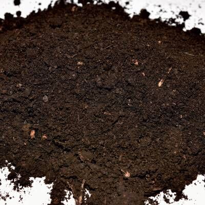 Bild 1 Ferkelwühltorf 20 l-Sack