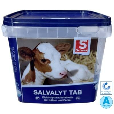 Bild 1 SALVALYT TAB | Elektrolytbrausetablette