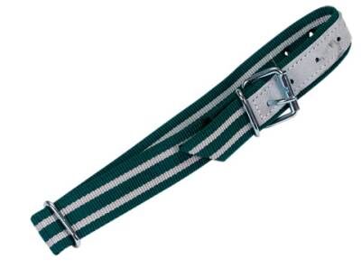 490502.2.jpg
