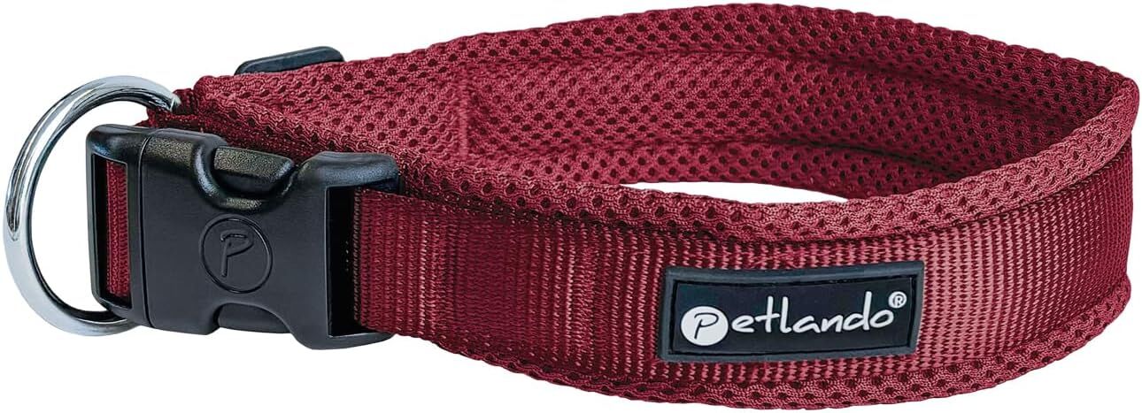 dackel halsband leder Hundehalsband Leder 