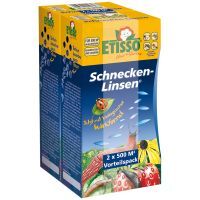 Bild 1 ETISSO Schnecken-Linsen Bild 1 ETISSO Schnecken-Linsen