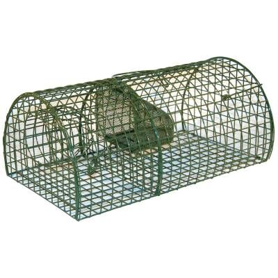Bild 1 Ratten-Massenfänger Alive MultiRat