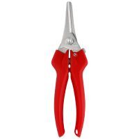 Bild 1 Leseschere Felco 310 Bild 1 Leseschere Felco 310