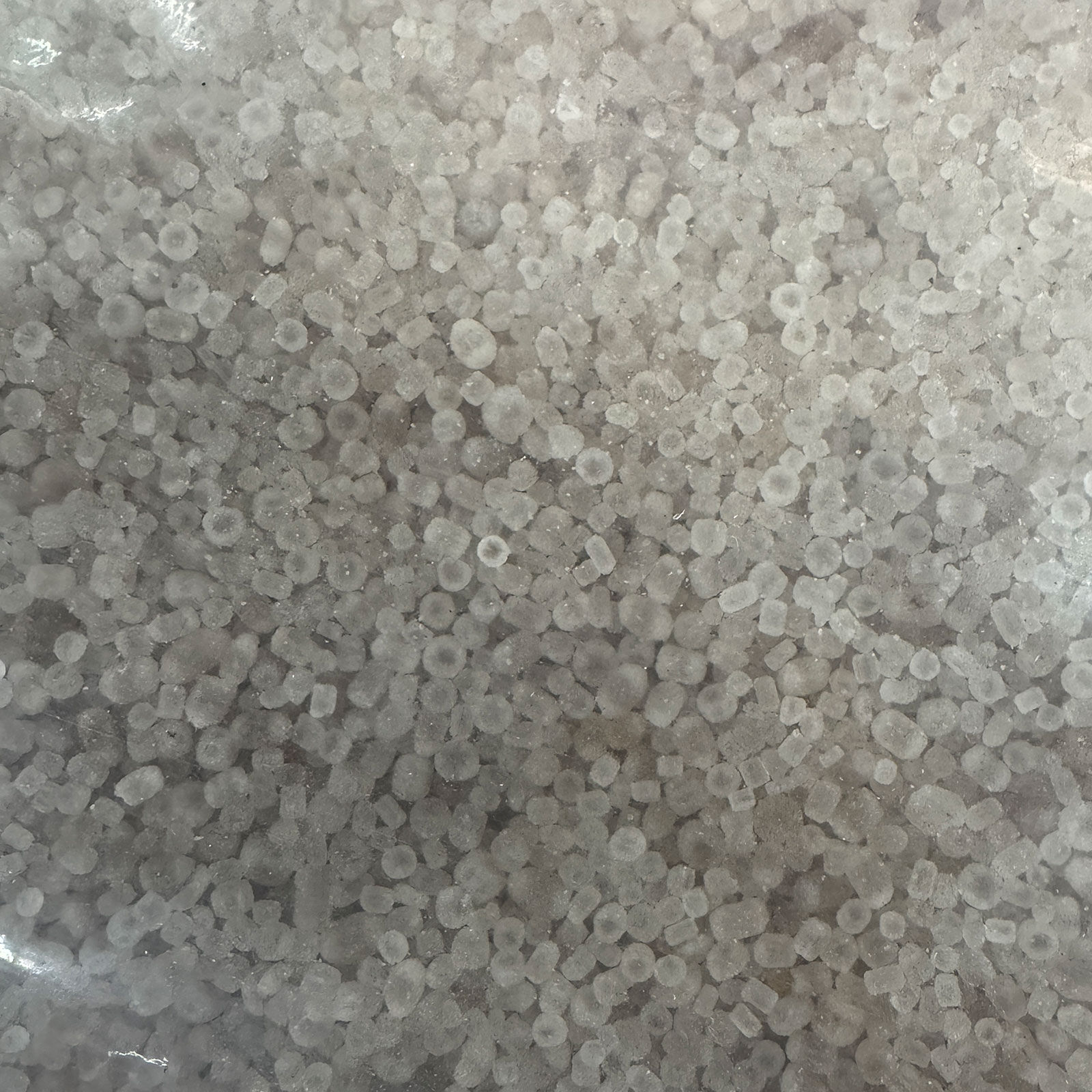 DOMOGRAN 45 Ammoniumsulfat (Schwefelsaures Ammoniak/SSA) 25 kg-Sack   23,90