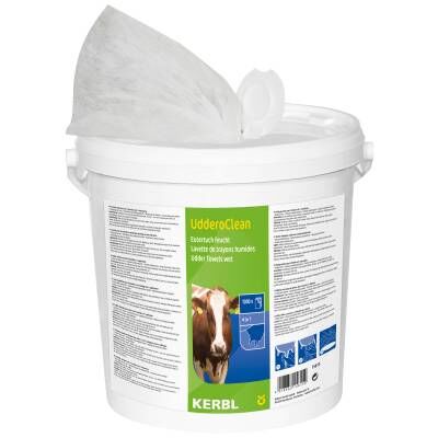 Bild 1 Eutertücher feucht 1000 Blatt/Eimer