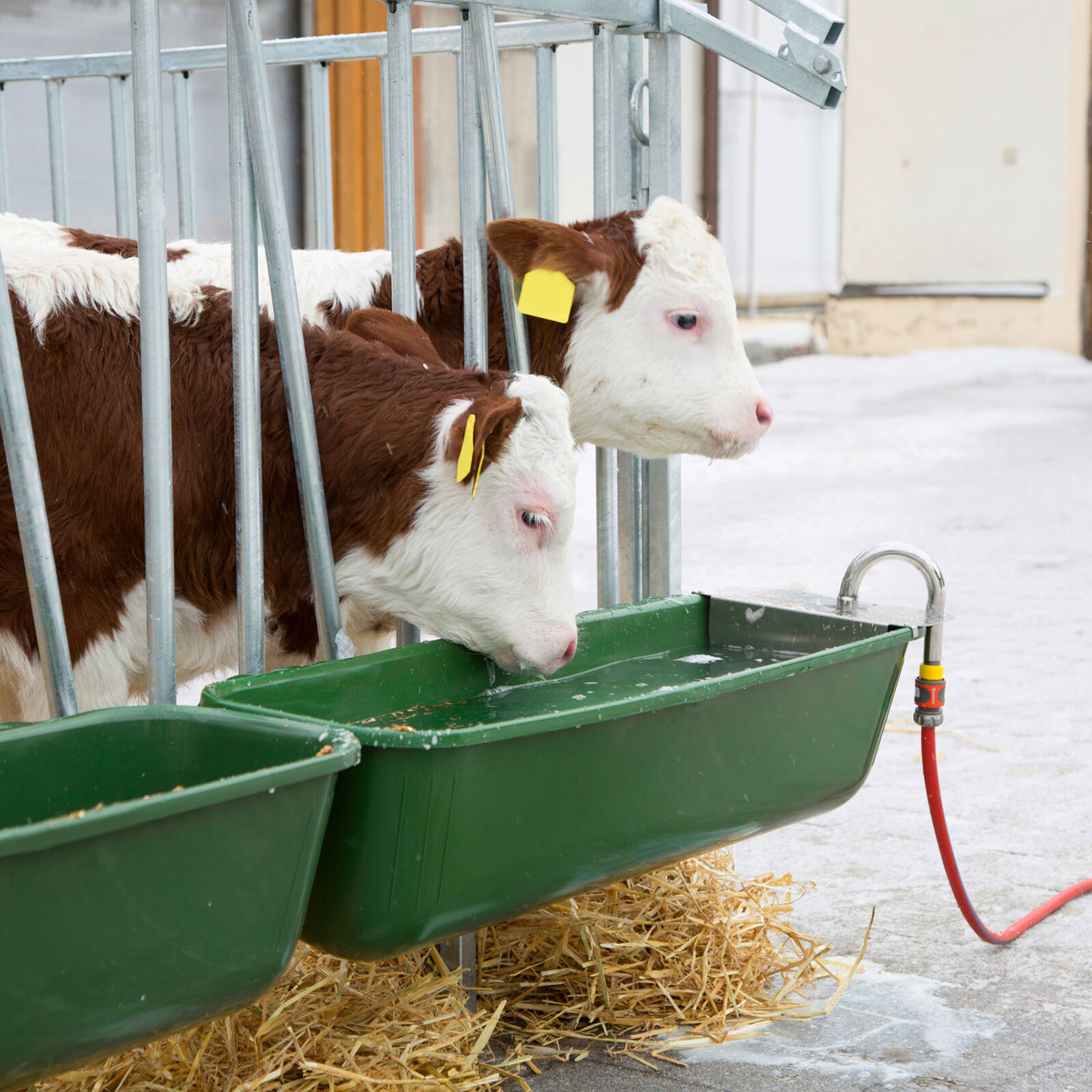 Wassertrog mit Schwimmerventil | Stall, Haustier und Veterinärbedarf | P.Lindberg Wassertrog mit Schwimmerventil | Stall, Haustier und Veterinärbedarf | P.Lindberg