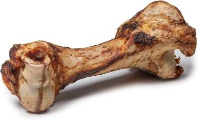 Bild 1 Dibo Mamut Knochen