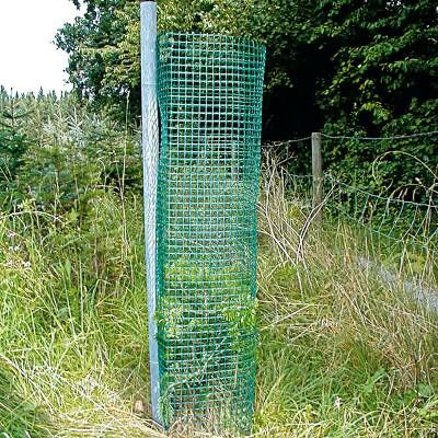 Bild 1 Baumschutz-Gitterhülle Freiwuchs 300