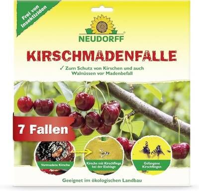Bild 1 Kirschmadenfalle Neudorff